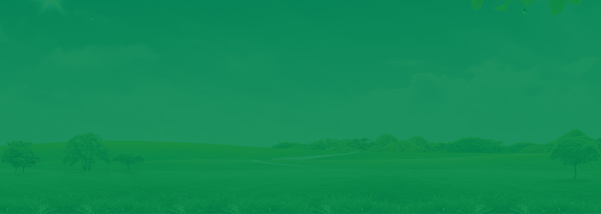 ca88登陆
